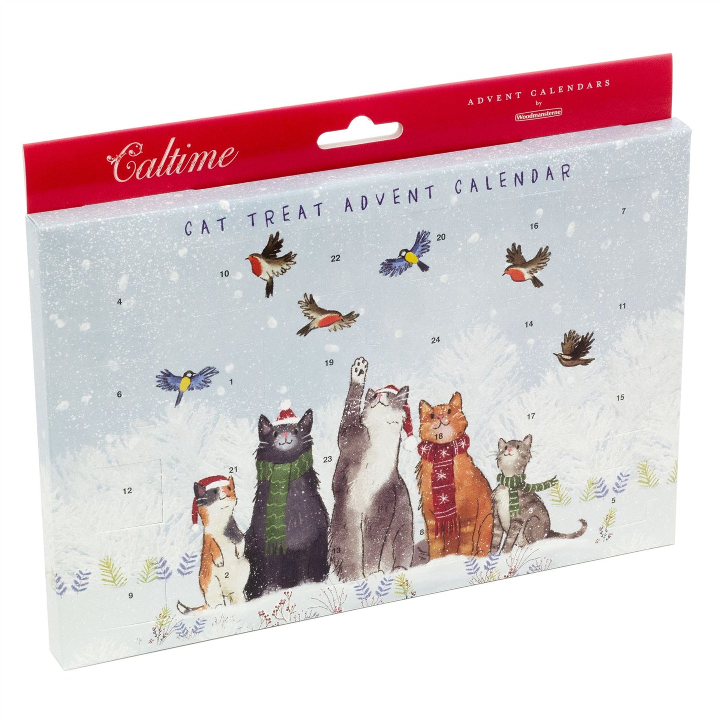 Christmas Cat Treat Advent Calendar | Pet Treat Advent Calendar For Cats