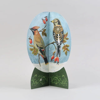 3D Snow Globe Christmas Advent Calendar | Advent Calendar with British Birds