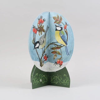 3D Snow Globe Christmas Advent Calendar | Advent Calendar with British Birds