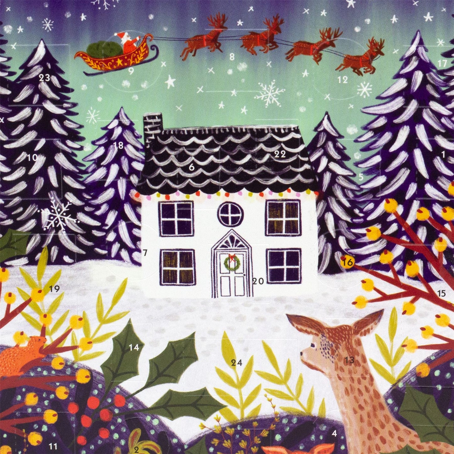 Christmas Advent Calendar A Night Before Christmas | Picture Advent Calendar