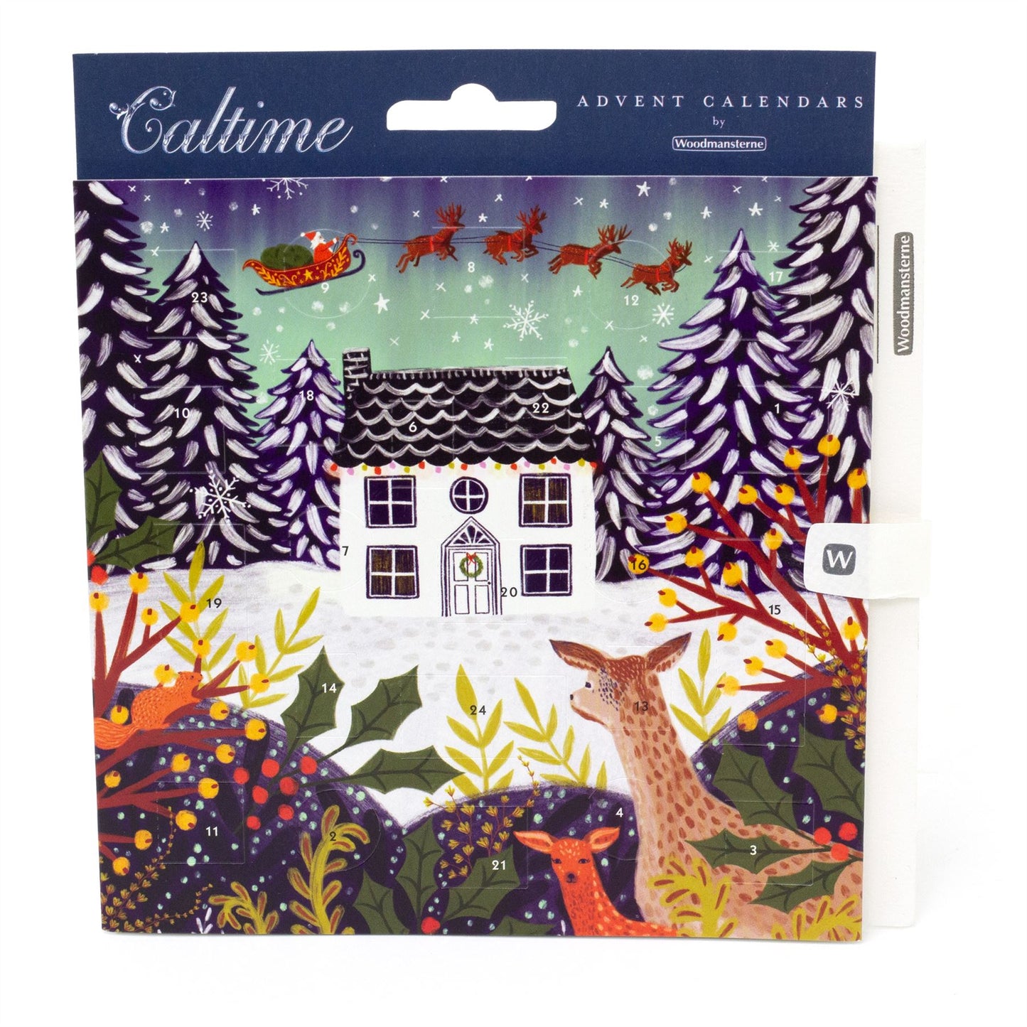 Christmas Advent Calendar A Night Before Christmas | Picture Advent Calendar