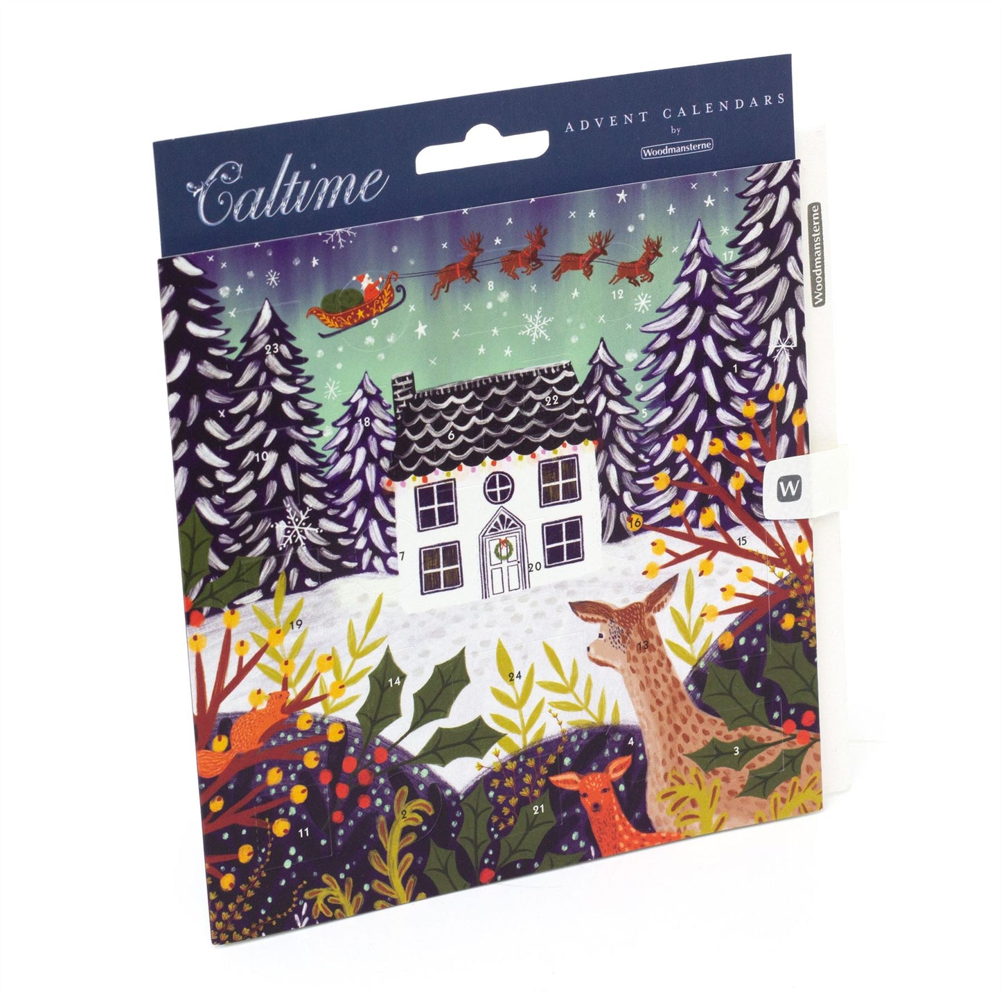 Christmas Advent Calendar A Night Before Christmas | Picture Advent Calendar