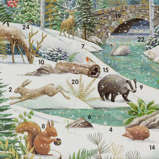 Festive Christmas Advent Calendar | Winter Flora & Fauna Advent Calendar