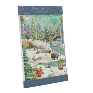 Festive Christmas Advent Calendar | Winter Flora & Fauna Advent Calendar