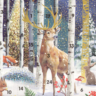 Magical Forest Christmas Advent Calendar Greetings Card | Door Advent Calendar