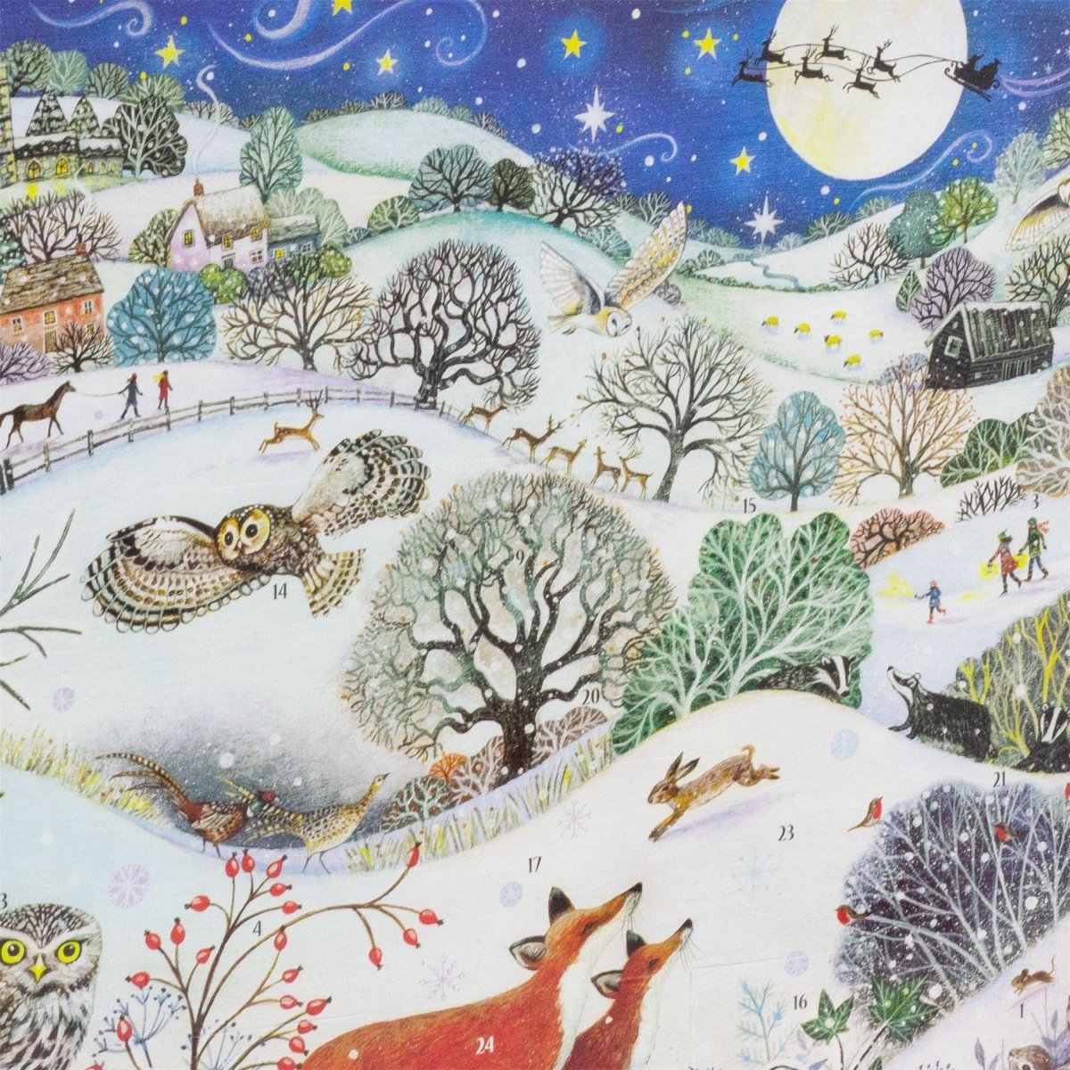 3D Christmas Advent Calendar Moonlit Magic | Animal Picture Advent Calendar