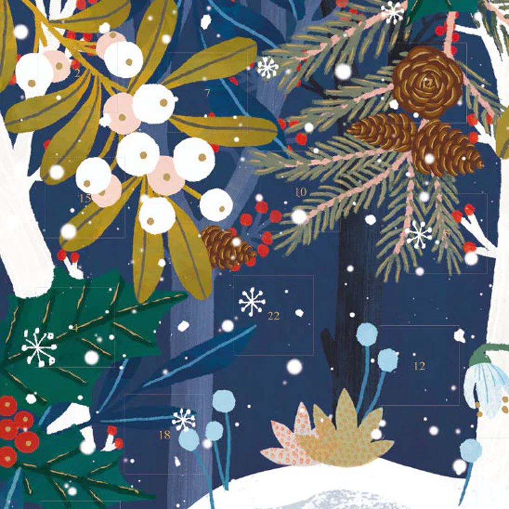 Christmas Advent Calendar Wildwood Hideaway | Hedgehog Picture Advent Calendar