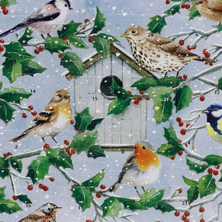 Winter Birds Traditional Christmas Picture Advent Calendar, 24 Door Calendar