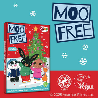Children’s Dairy Free Milk Chocolate Advent Calendar | Christmas Calendar - 70g