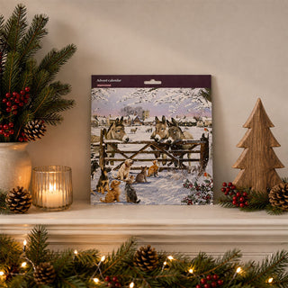 Christmas Donkeys Traditional Picture Advent Calendar, 21.3cm Square
