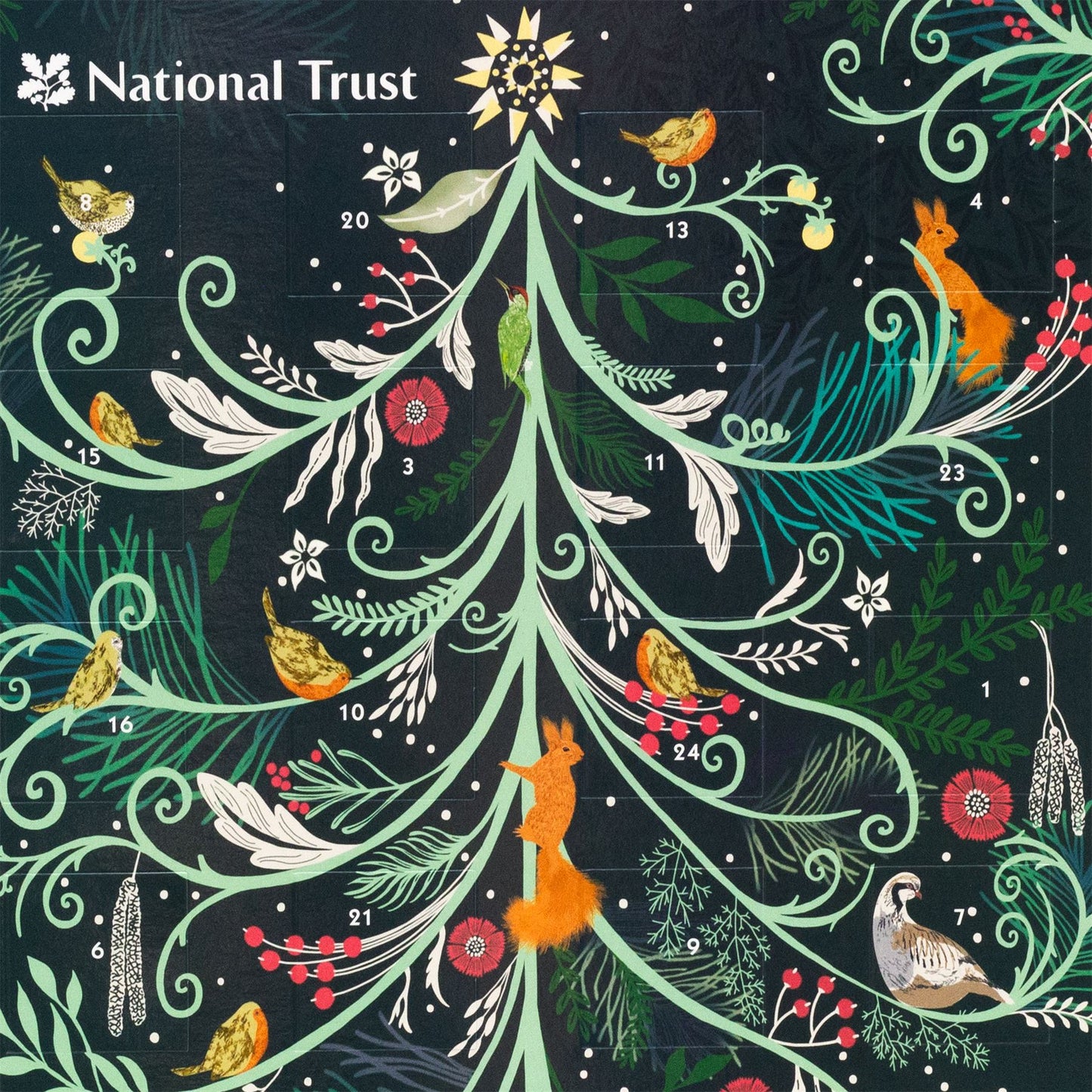 National Trust Christmas Advent Calendar | Flora & Fauna Picture Advent Calendar
