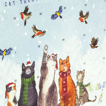 Christmas Cat Treat Advent Calendar | Pet Treat Advent Calendar For Cats