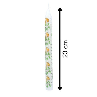 Robin & Holly Advent Countdown Candle | Numbered Christmas Candle Calendar 23cm