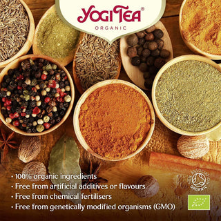 Yogi Tea Organic Christmas Advent Calendar | 24 Ayurvedic Herbal & Spiced Teas