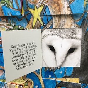 Yule Oak Folklore Christmas Advent Calendar, A4 Woodland Wildlife