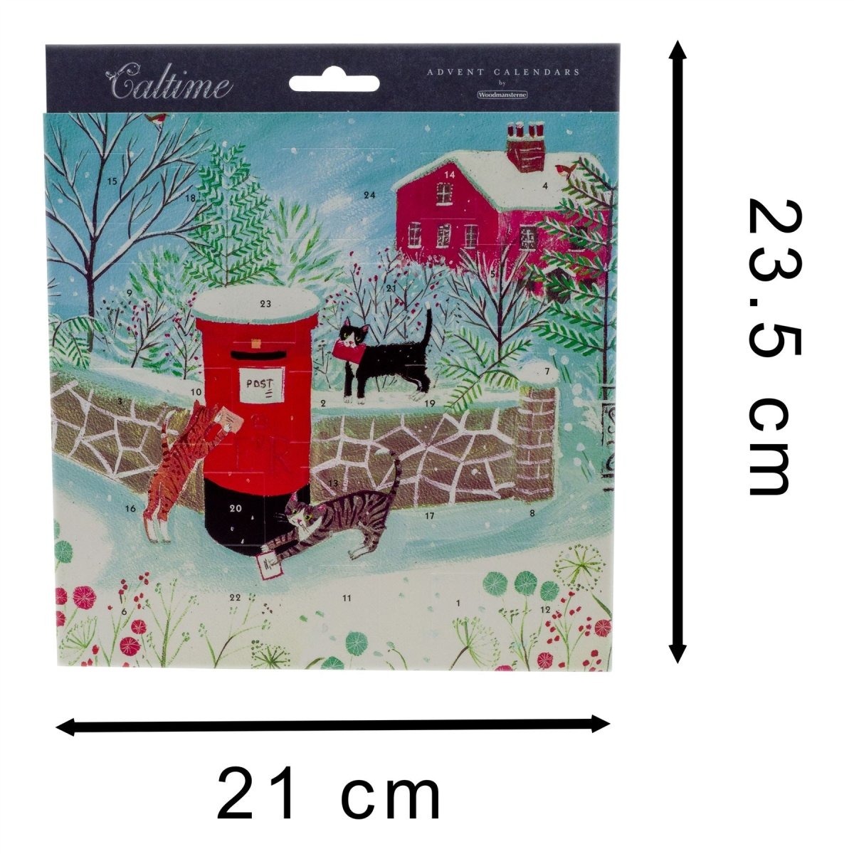 Christmas Advent Calendar Letters For Santa | Picture Advent Calendar - Cats