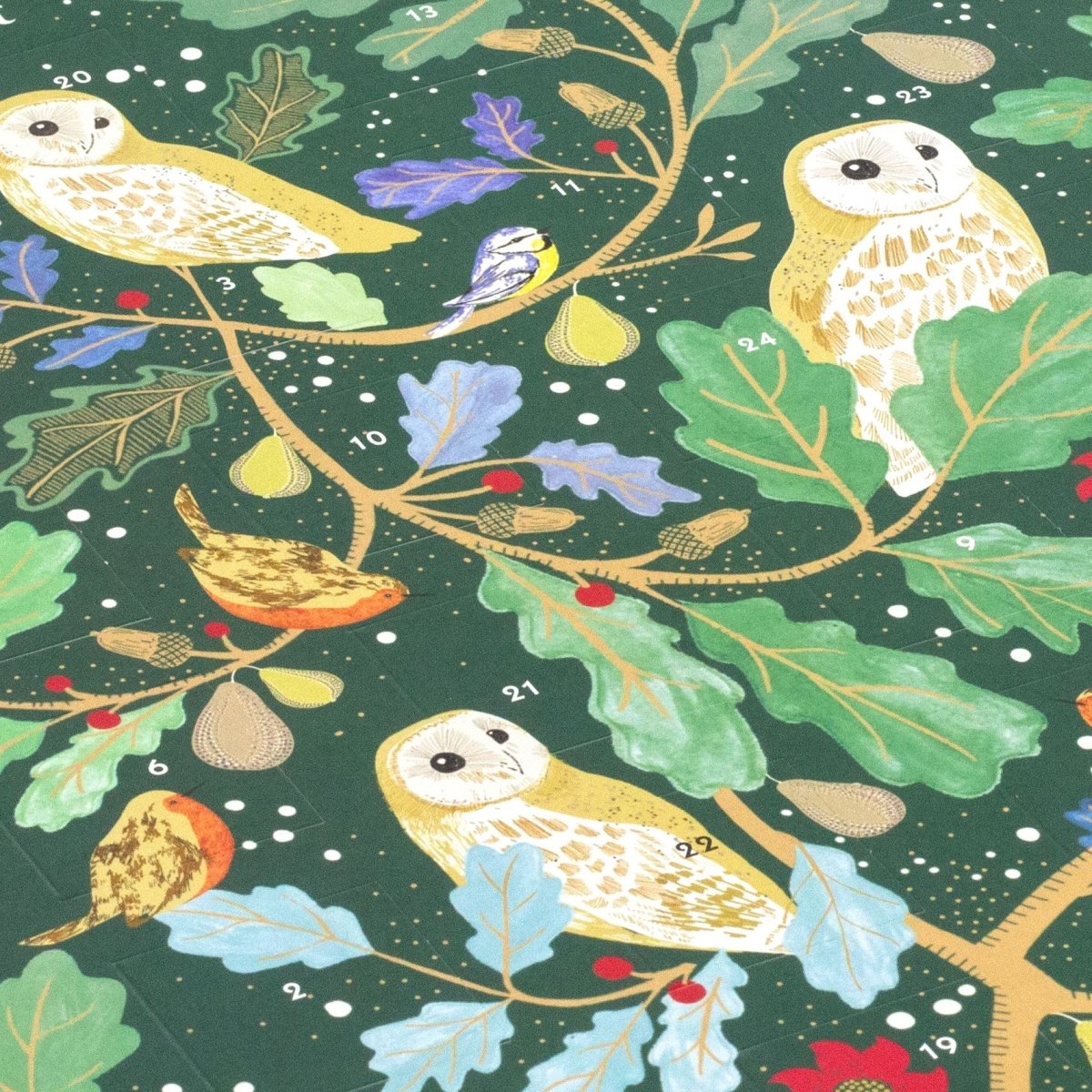 Christmas Advent Calendar Owls In Winter | Bird Picture Advent Calendar