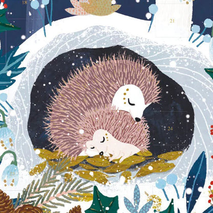 Christmas Advent Calendar Wildwood Hideaway | Hedgehog Picture Advent Calendar